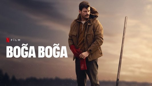 Boğa Boğa