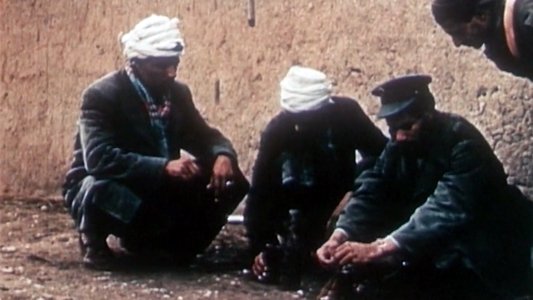 Algérie en flammes