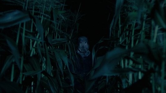 The Town That Dreaded Sundown