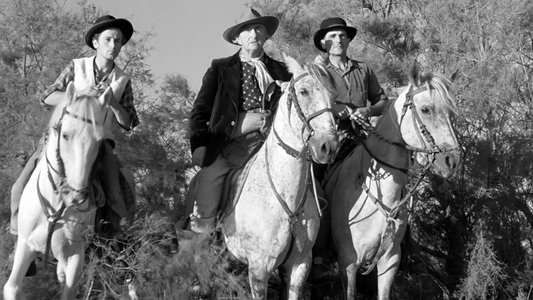 Crin blanc: Le cheval sauvage