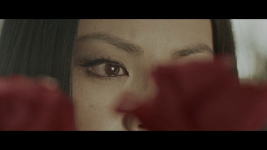 若い貴族たち　１３階段のマキ