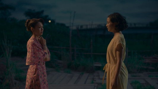 遠い山なみの光