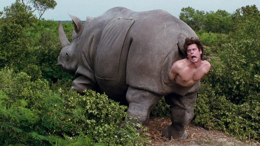 Ace Ventura: When Nature Calls