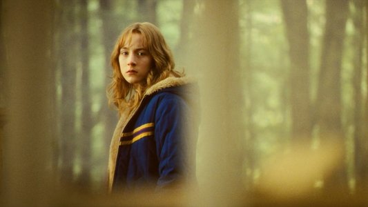 The Lovely Bones