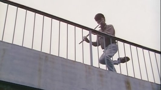 神田川淫乱戦争