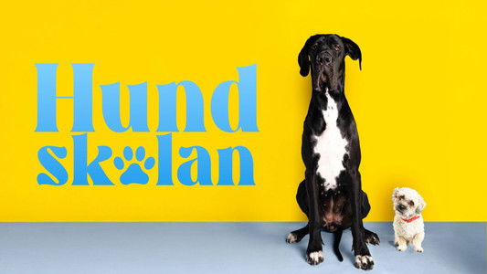 Fra bølle til bestevenn