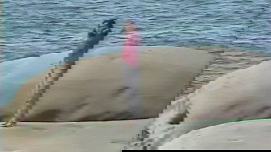 浮萍