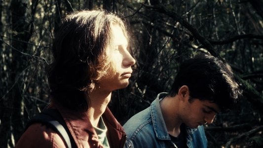 In Forest