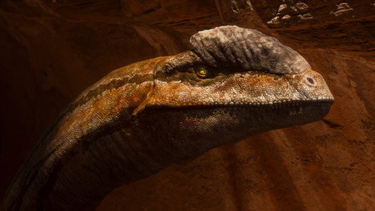 The Dinosaurs