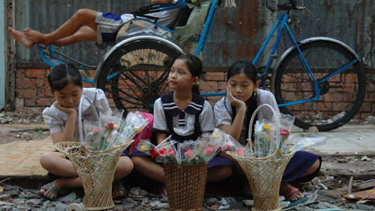 Cú và chim se sẻ