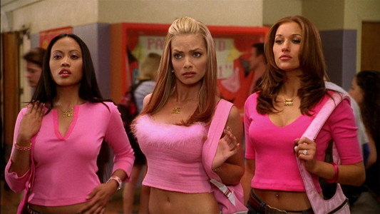 Not Another Teen Movie