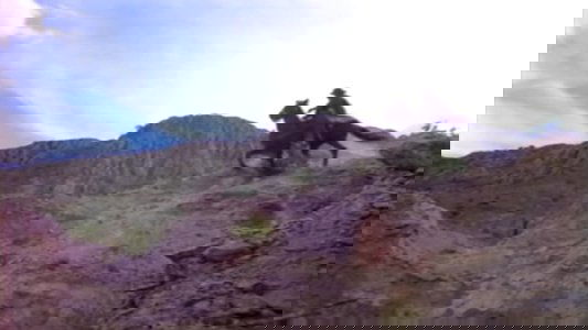 La gran aventura del Zorro