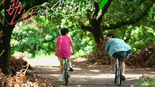 荔枝树下热烈岛