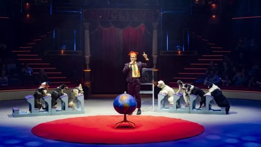 Délire au Cirque d'hiver Bouglione de Paris