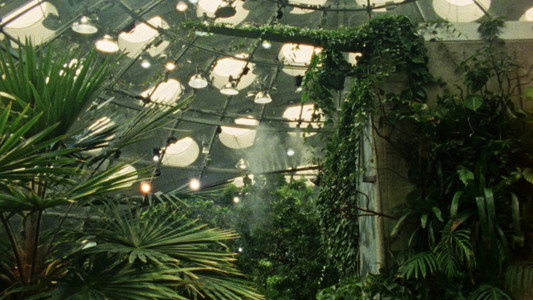 Fractais Tropicais