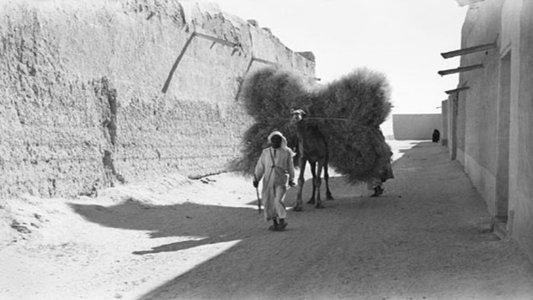 الفرج بعد الشدة