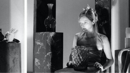 The Party: Nature Morte