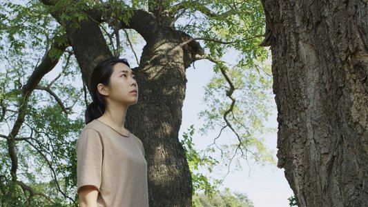 비밀의 정원