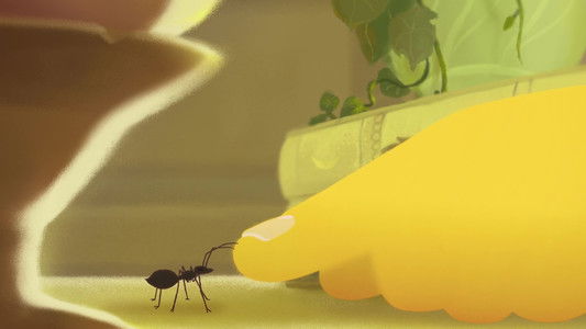 The Shyness of Trees