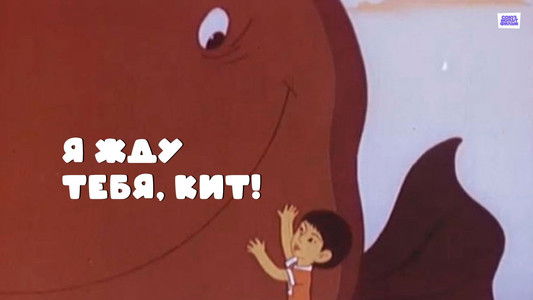 Я жду тебя, кит