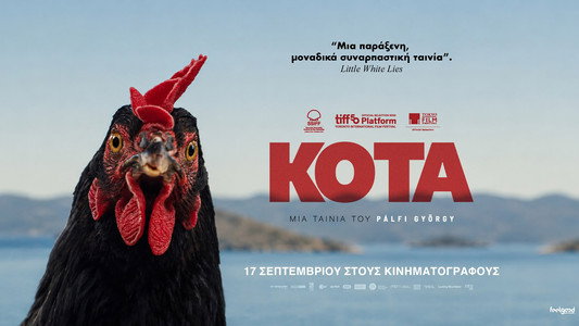Κότα