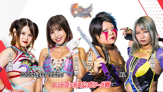 第13回 ゴッデス・オブ・スターダム ～タッグリーグ優勝決定戦～