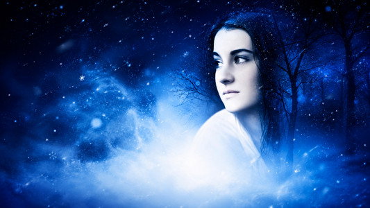 White Bird in a Blizzard
