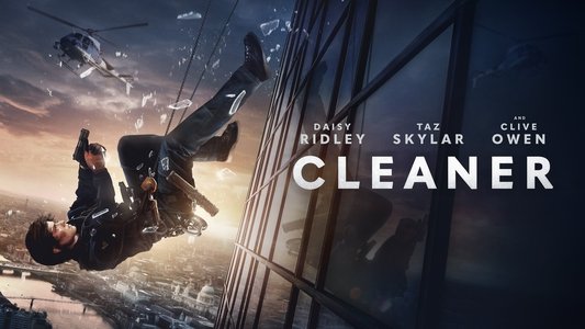Cleaner