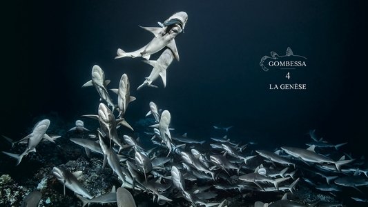 700 requins dans la nuit  (Gombessa 4, la genèse)