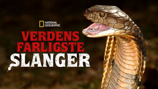 World's Deadliest Snakes