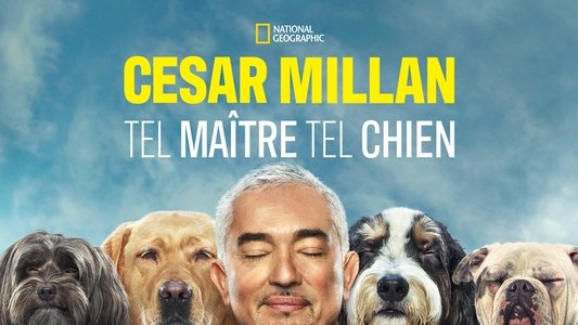Cesar Millan: Better Human, Better Dog