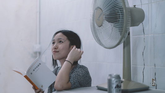 左翼青年的鬱悶夏日