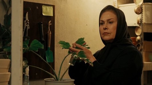 مترجم