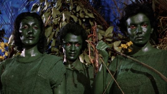 Love Slaves of the Amazons