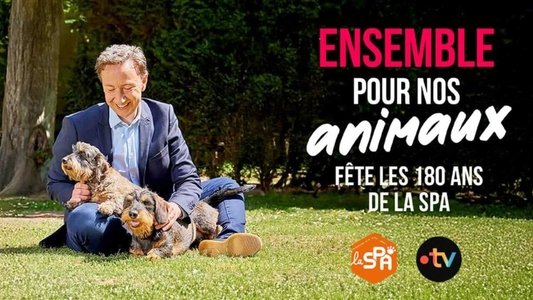 Ensemble pour nos animaux - fête les 180 ans de la SPA