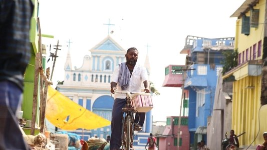 கடுகு