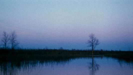 The Legend of Boggy Creek