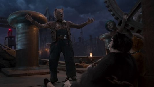 Cats