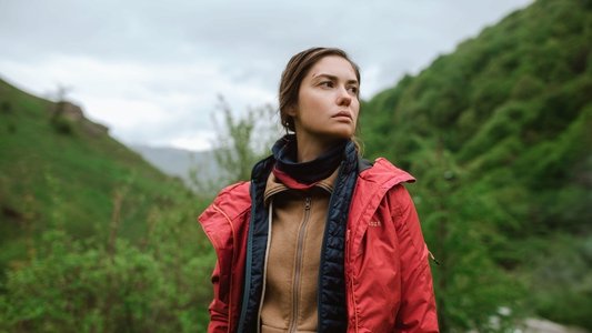 Стая