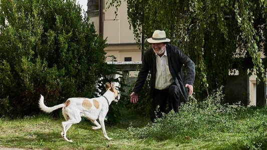 Gump – pes, který naučil lidi žít