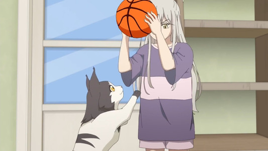 猫先动的手！