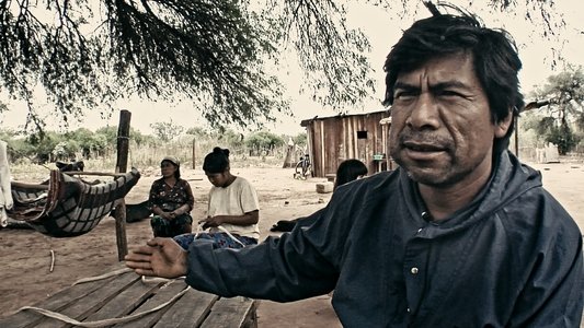 Viaje a los pueblos fumigados