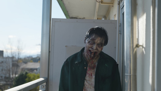DEAD OR ZOMBIE ゾンビが発生しようとも、ボクたちは自己評価を変えない