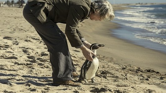 The Penguin Lessons