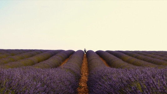 Valensole 1965