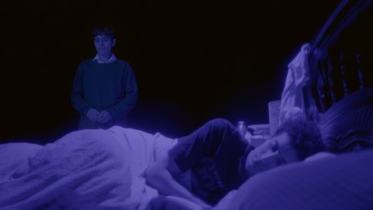 La dormance