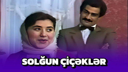 Solğun çiçəklər