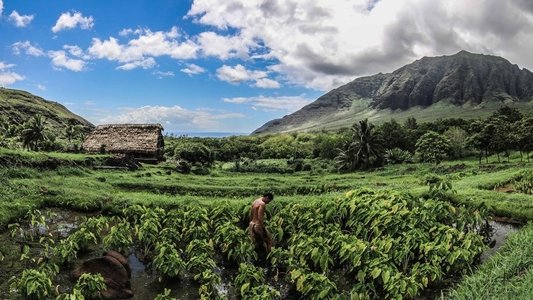 Ho'omau