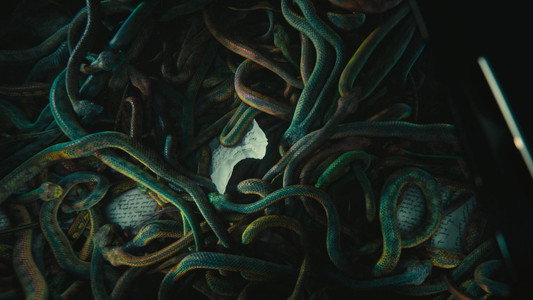The Hunger Games: The Ballad of Songbirds & Snakes