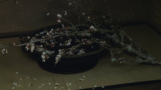利休